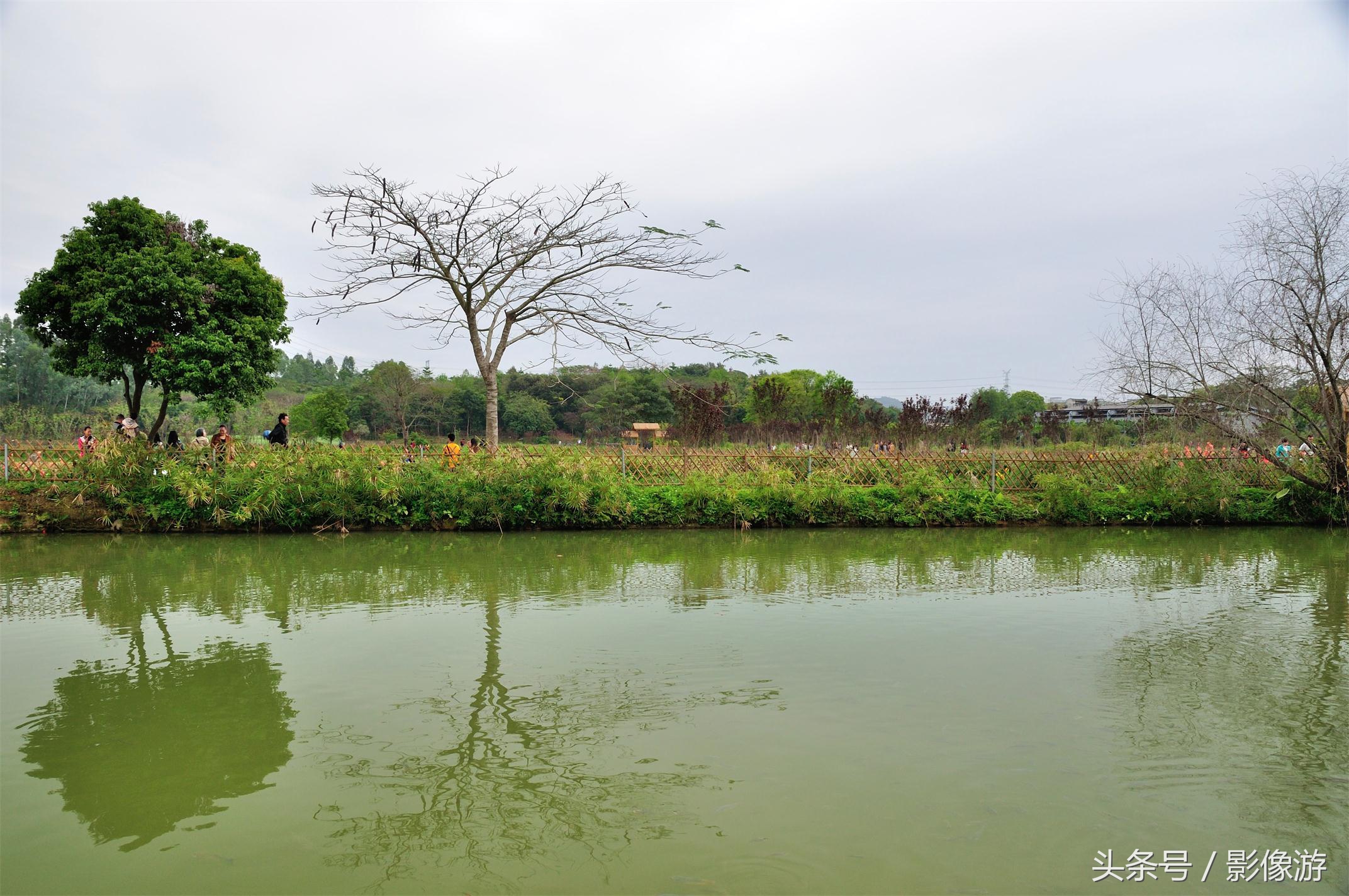 深圳观澜版画村地址,深圳清明踏青线路推荐