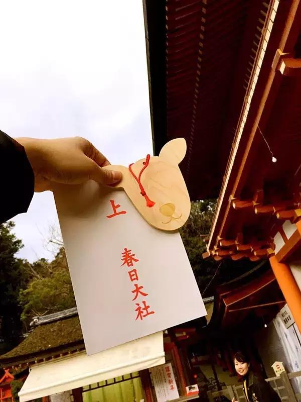 日本奈良看小鹿,日本奈良看小鹿视频