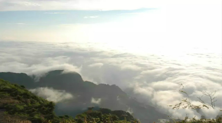 强迫症的自我治疗,如何治疗强迫症里的穷思竭虑