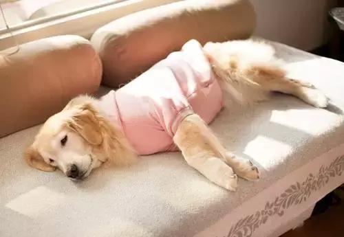 鍗冨懠涓囧敜闃叉檼鍚堥泦,鍗冨懠涓囧敜鐨勯槻鏅掗湝