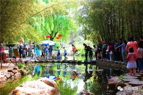 山东沂南秋日花海醉游人,沂南周边看梨花景点