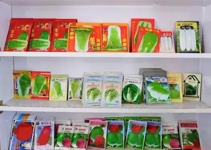 种子种菜阳台教程,阳台种菜种子做法视频教程