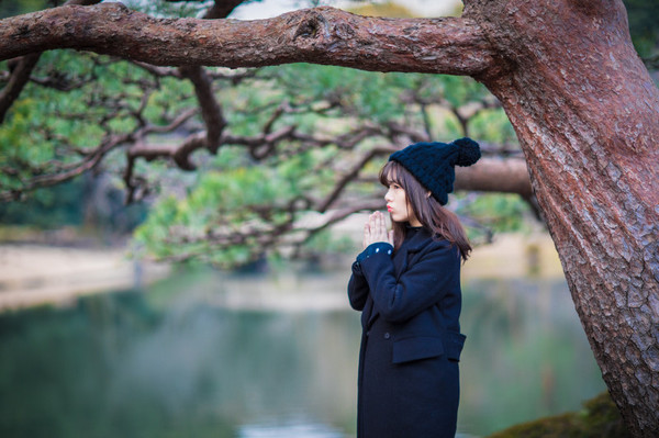 樱花烂漫几多时完整版,日本樱花节赏樱攻略视频大全