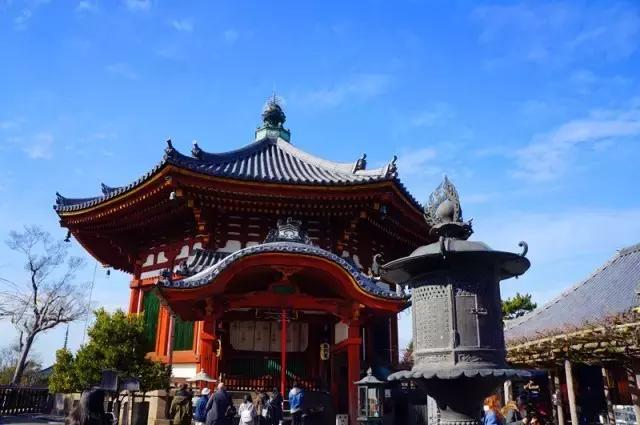 日本奈良看小鹿,日本奈良看小鹿视频