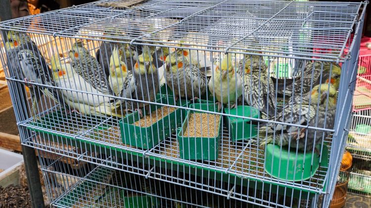 实拍：西安市井的味道