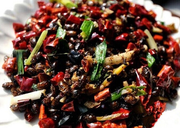 有钱人吃鹿茸的好处,有钱人吃鹿茸好处