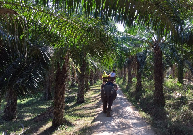 阳光沙滩海浪旅行日记,普吉甲米跟团游游记