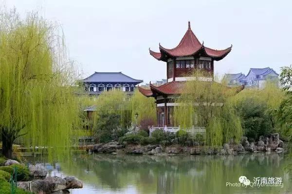 山东沂南秋日花海醉游人,沂南周边看梨花景点
