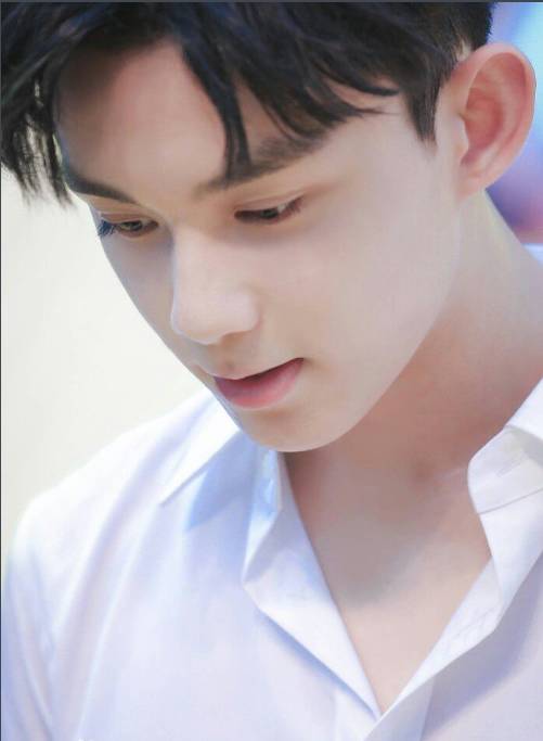 杨洋刘昊然谁演的,鹿晗刘昊然谁帅