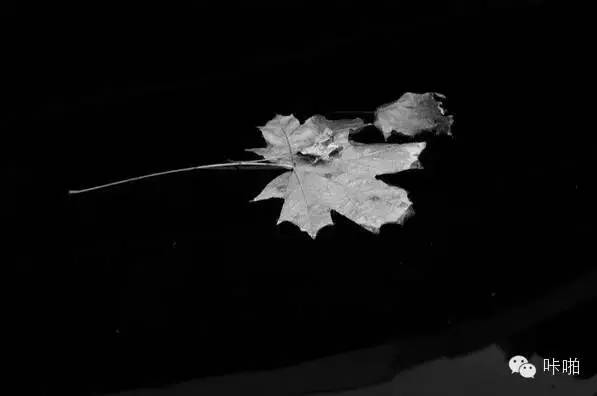 在这个拼实力的时代,在这个拼演技的时代