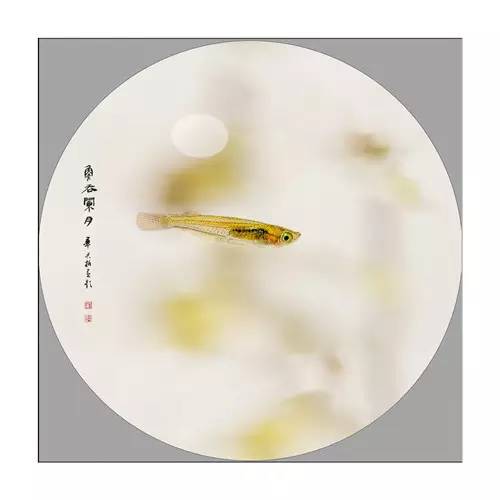 投稿装饰画,投稿绘画作品