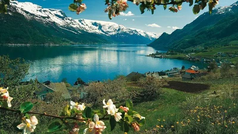 挪威夏日岛旅游攻略,去挪威看峡湾