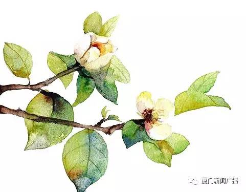 颜值+好春+丽诗，这该会是怎样动人动心的电波之旅！