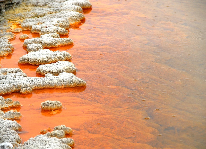 到新西兰旅游有什么好处,新西兰旅游有什么好