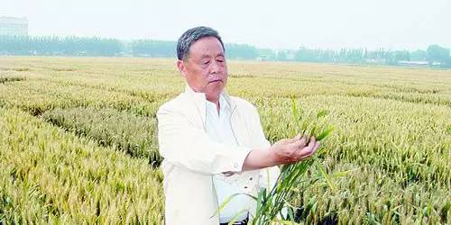 青岛农大现在情况,青岛农大放开了吗