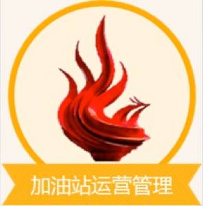 加油站油气回收装置检测多久一次,加油站油气回收装置设备