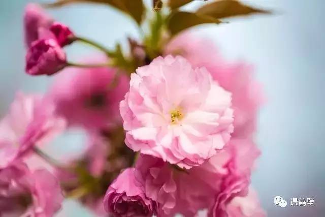 寻找紧急扩散人员名单,紧急寻找紧急扩散