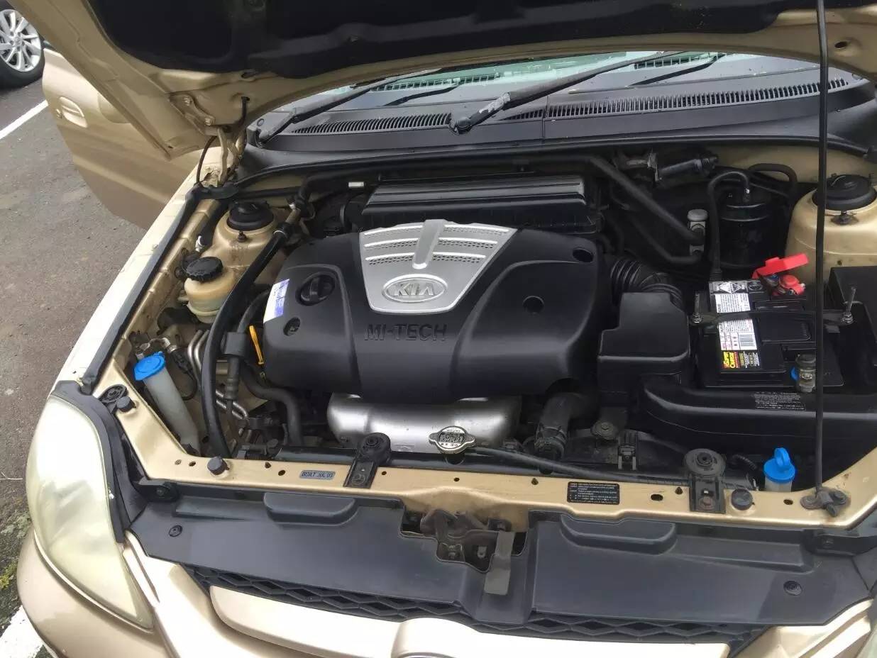 图说：在澳洲的日常（4）｜陈秋平