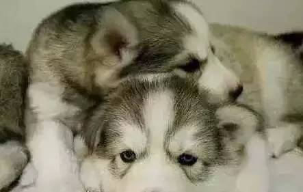 原谅我这一生不羁放纵完整版,原谅我这一生不羁放纵群星版