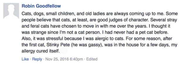 喵对你眨眼睛,猫咪爱上你的套路