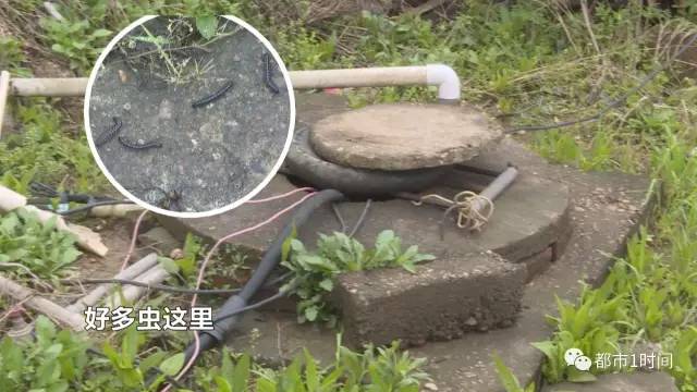 桶装水黑幕为何屡禁不止,桶装水的猫腻是什么