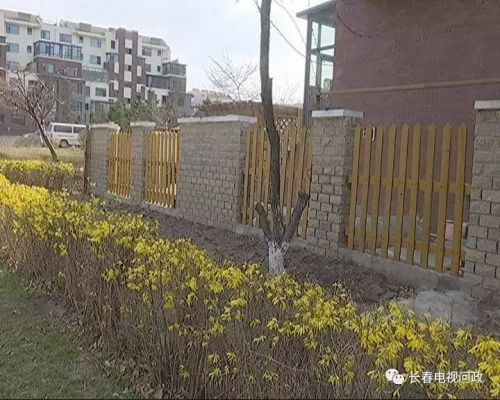 长春好景山庄小区、净月新园小区居民圈地种蔬菜最多将被罚三万