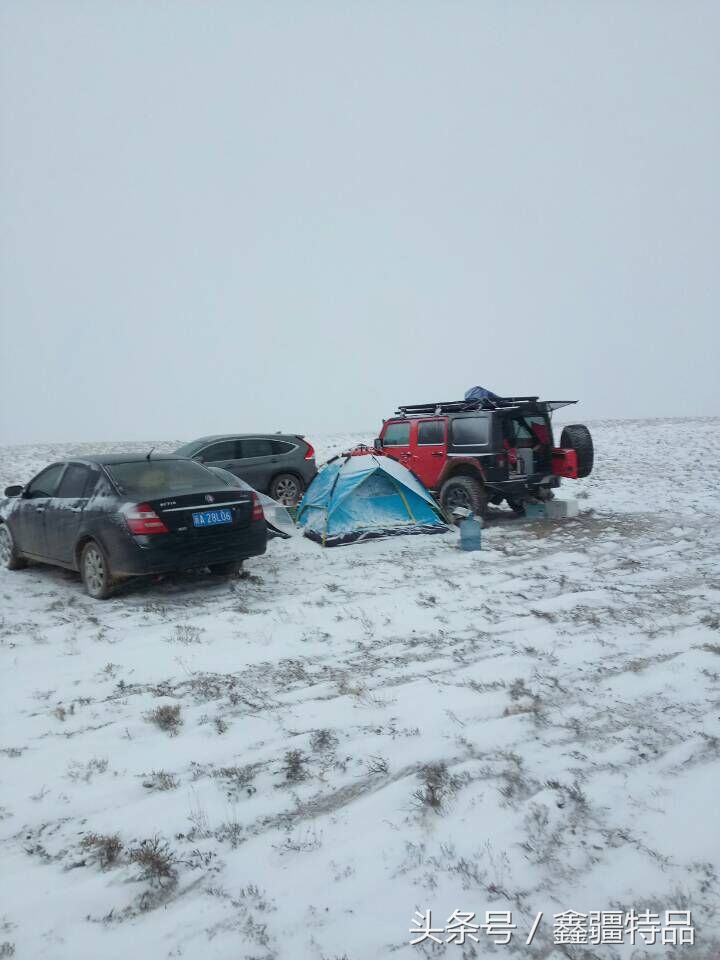 金丝玉宝石光在哪捡,捡金丝玉海蓝宝石的地方