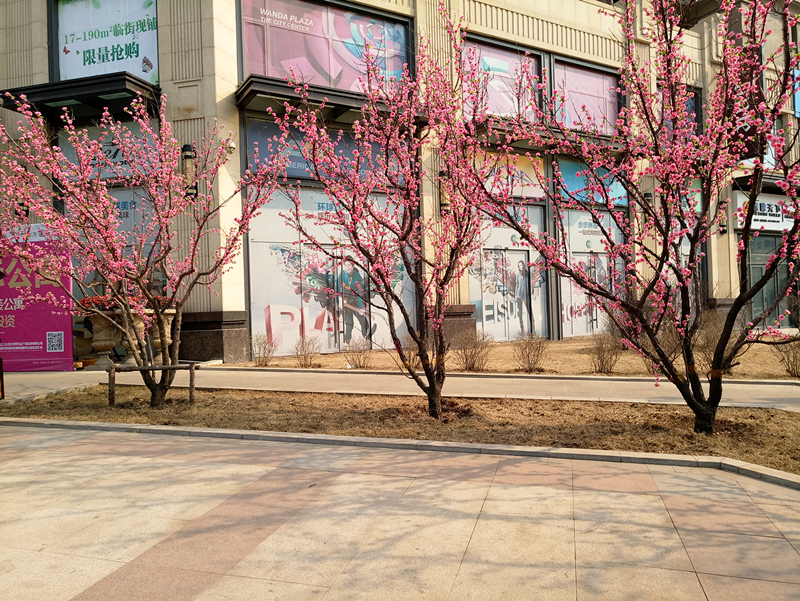 魅族mx6更换总成教程,魅族mx6和note6