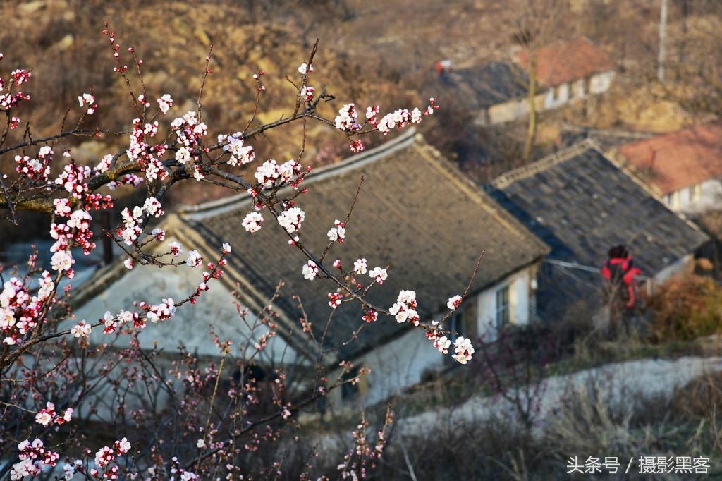 濞佹捣涔冲北妯辨,灞变笢涔冲北妯辨