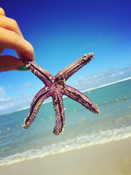 毛里求斯7天5晚自由行,毛里求斯旅游自由行价格