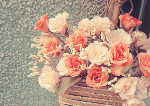 意境唯美图片小清新文字,手机壁纸高清小清新唯美图片