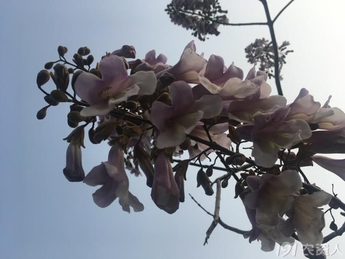 农村有这几样东西别扔,农村人这几种事千万不要做