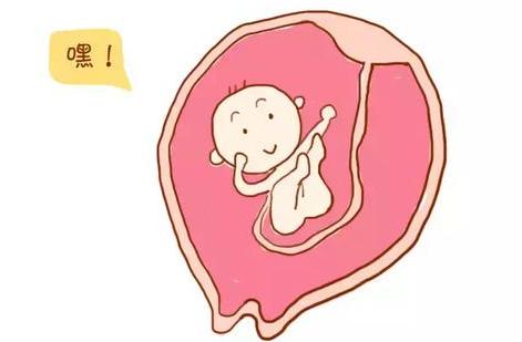 整个孕期所有产检的详细的书,产检全攻略快收藏起来