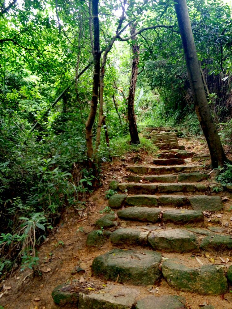 到中山的千年古刹古香林寺旧址周边山林探秘，感觉大自然太美啦