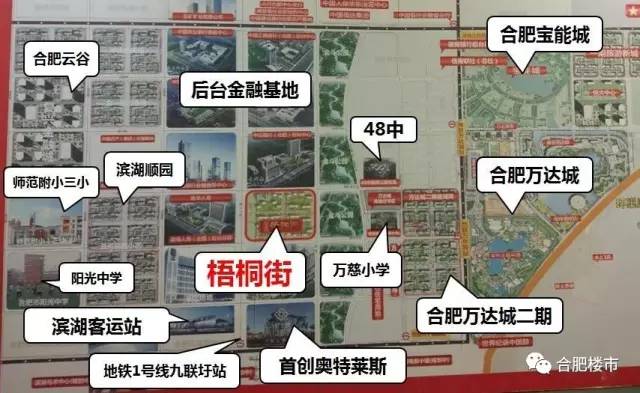 市树将被替换？！合肥现首个“公园体”商业，周末度假有去处了