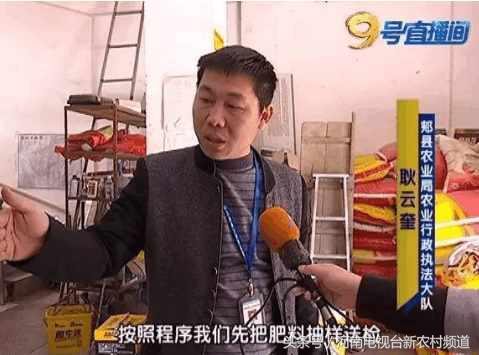 小麦扬花后麦叶尖发黄是怎么回事,小麦假化肥表现