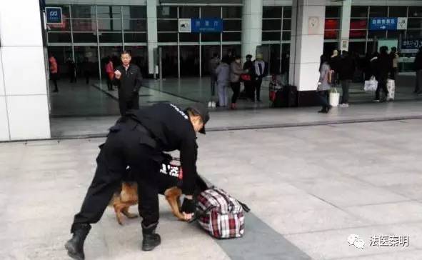 为啥能闻到异性朋友的体香,如果你能闻到异性身上的体香