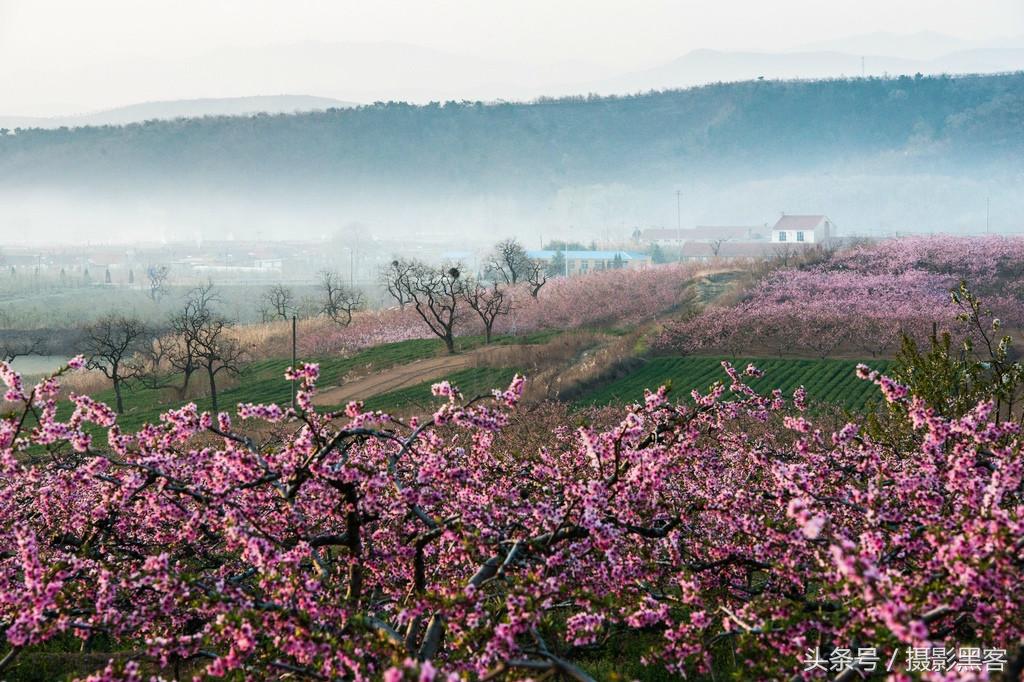 濞佹捣涔冲北妯辨,灞变笢涔冲北妯辨