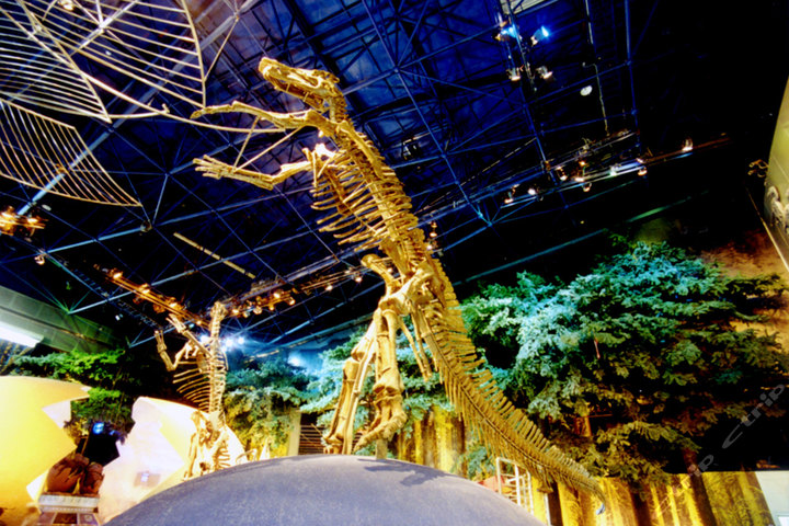 常州恐龙园旅游要提前买票吗,常州恐龙园水世界旅游攻略夜场