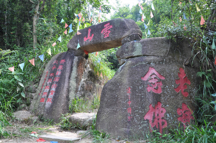 到中山的千年古刹古香林寺旧址周边山林探秘，感觉大自然太美啦