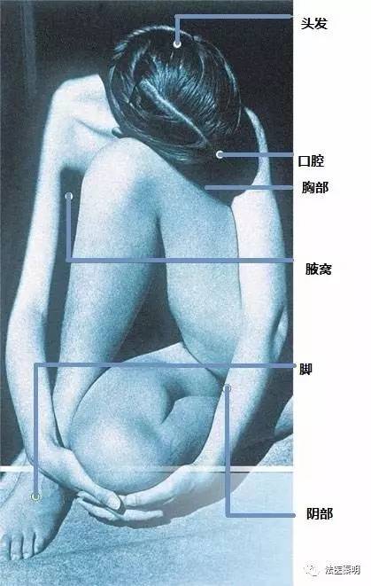 你知道体香是什么吗,体香是什么人才能闻到