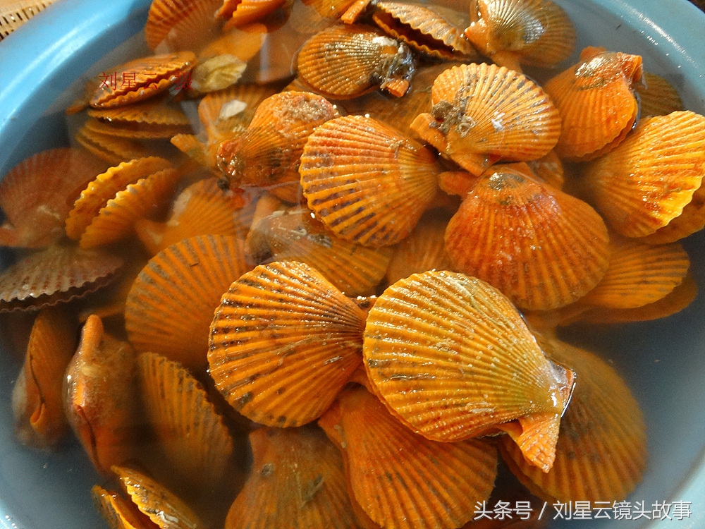 来三亚旅游想吃带壳的海鲜，不当冤大头，要有智慧善挑选和会安排