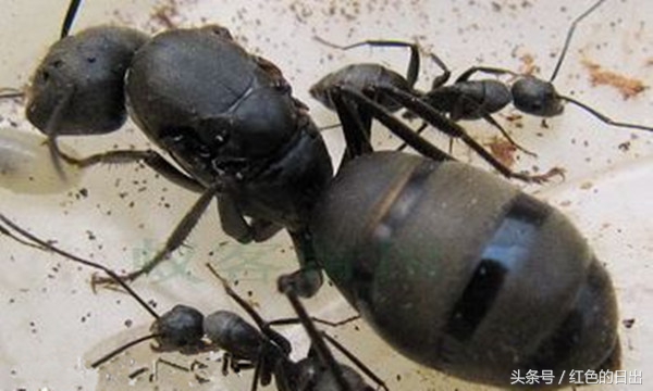 善良小伙帮了人救了自己一命,善良小伙帮老人救自己一命下集