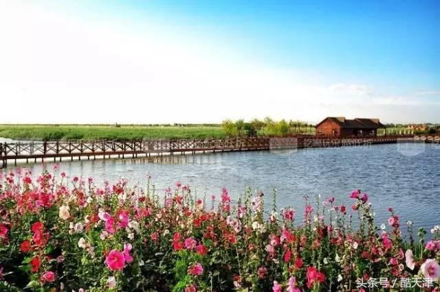 京津周边游玩景点推荐,京津冀附近人少风景好的旅游胜地