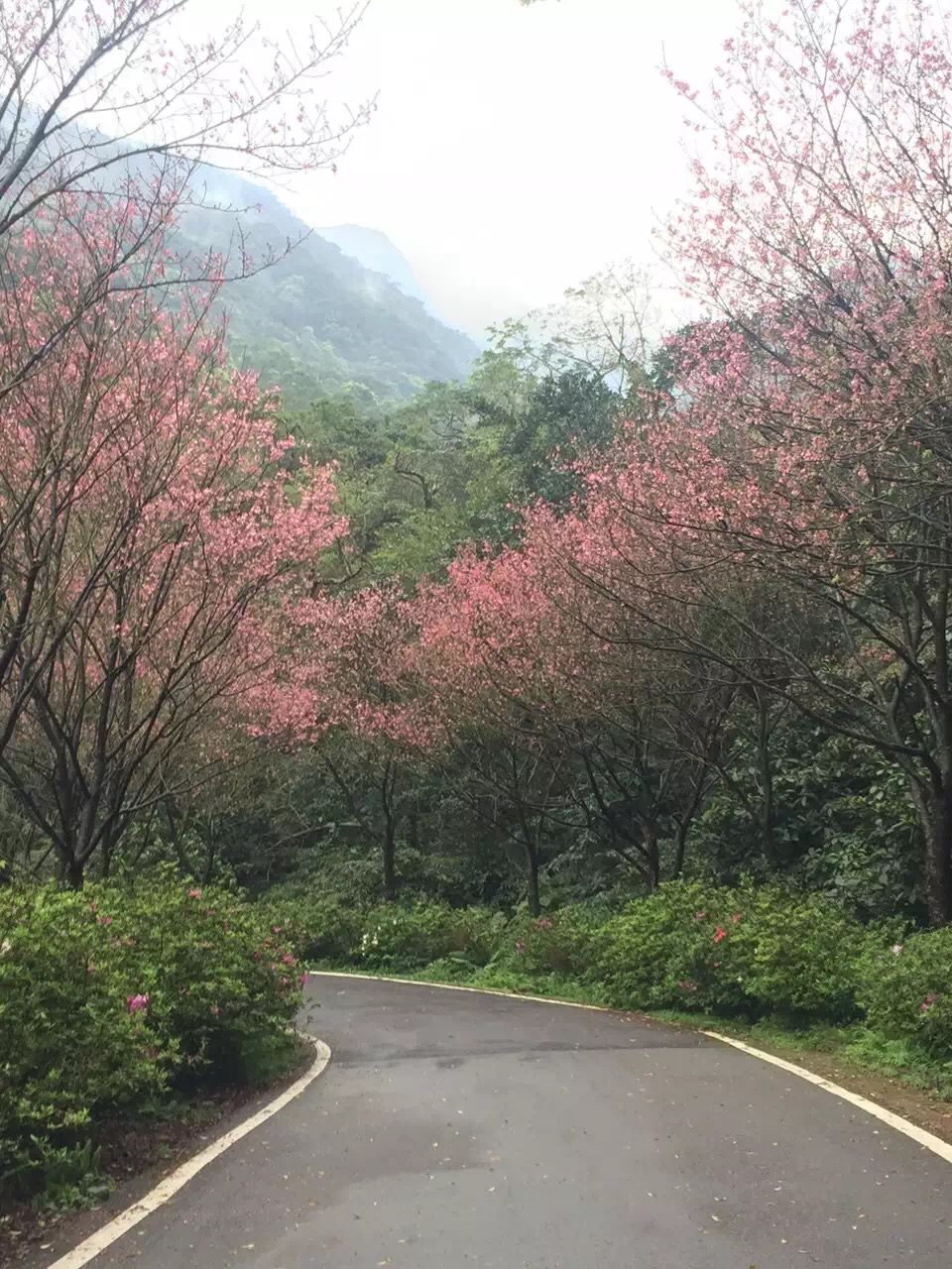 苏花公路最佳路线,苏花公路风景图