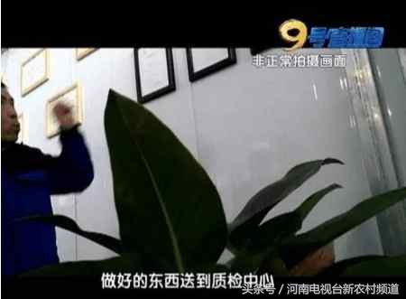 成本高价格低这个项目不要相信！