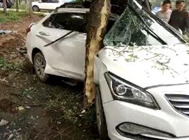 小伙惊人的手速,小伙手速