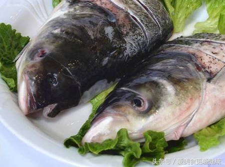 中华鲟鱼哪个部位有毒,裸斑鱼哪个部位有毒