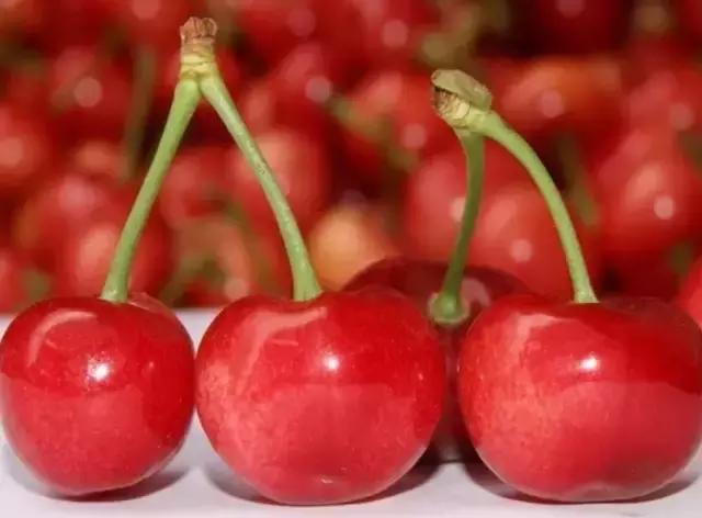 樱桃品种大全一览表,樱桃品种介绍大全