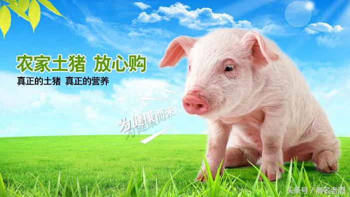 新农村好点子,农村最新创业点子